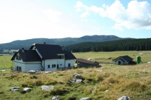 6a0f744e32ad497782e98dcfdd15875e