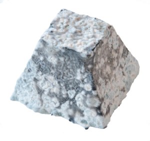 Torrej%C3%B3n-500x500