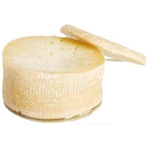 torta%20hacienda%20zorita-500x500