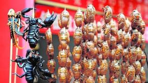 insectos-nutricionista--644x362