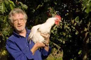 mieral-hahn-klein-300x201