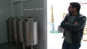 cervezas artesanales  (1)