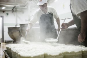 CENTROF_piacentinu-10_130903123059